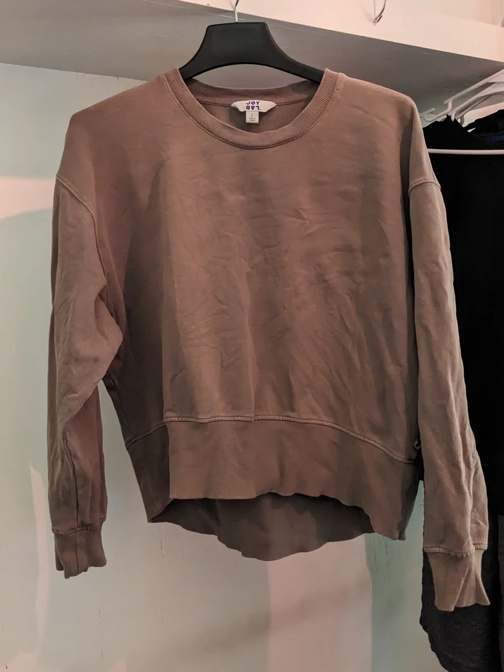 JoyLab Crewneck Sweatshirt in Taupe Mauve